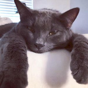 Meet your Posher, Esteban